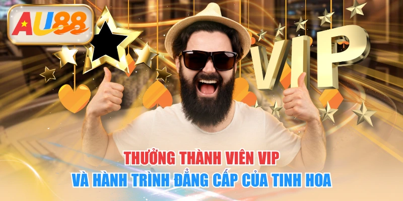 Thưởng Thành Viên VIP Và Hành Trình Đẳng Cấp Của Tinh Hoa